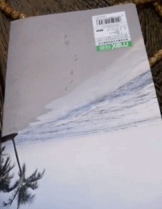 审美 “女孩的审美真让人难以理解,这件裤子的美感在哪?”