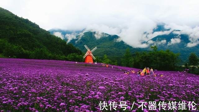 浪漫|「鱼凫香山」许你一场紫色的浪漫