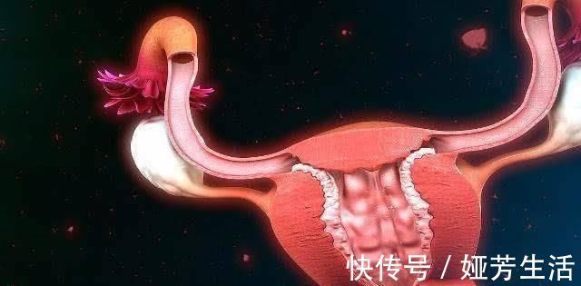 月经|生完宝宝后,若你在“这个时间”来月经,说明你子宫恢复的挺好