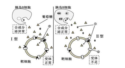 血糖|糖尿病,到底能不能吃花生?这篇文章告诉你真相!