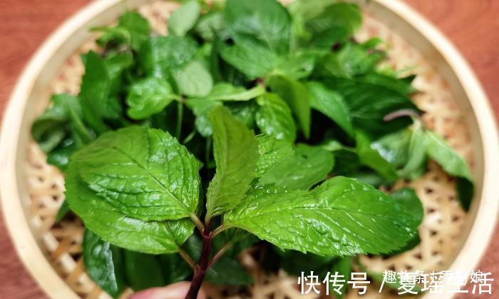 厨娘|夏天太热,吃肉不如吃此菜,儿子三天两头喊我做,清凉解暑又开胃