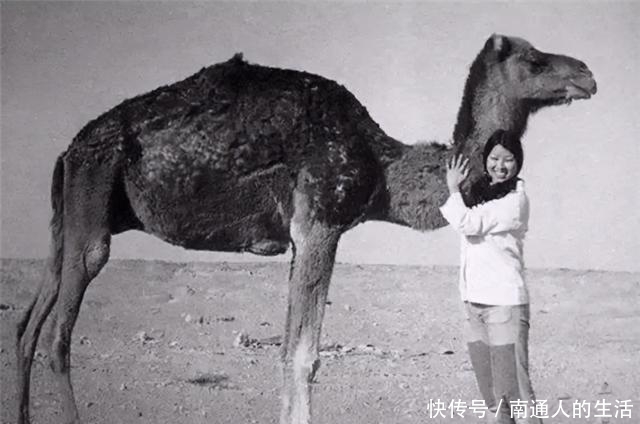 女人|《三毛传》：女人这一生，不读三毛，不懂独立