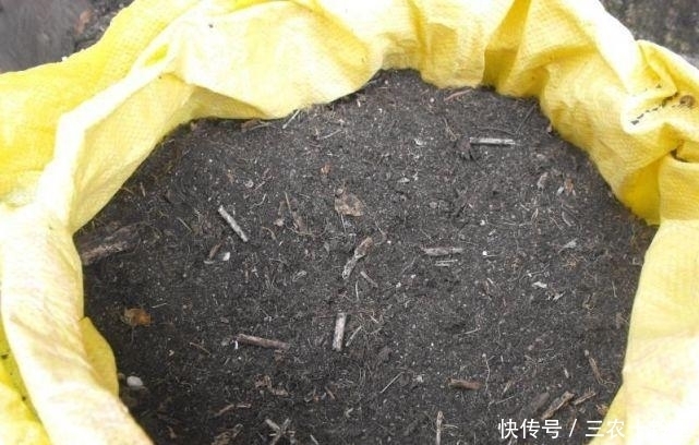 再也|制作腐叶土原来这么简单, 以后再也不用花钱了