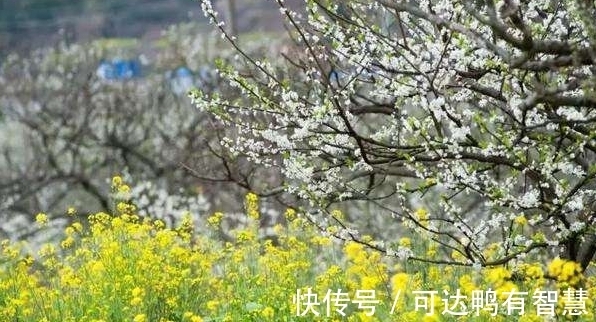 财富|2022年时运亨通,财富锦上添花,人生走上坡三生肖