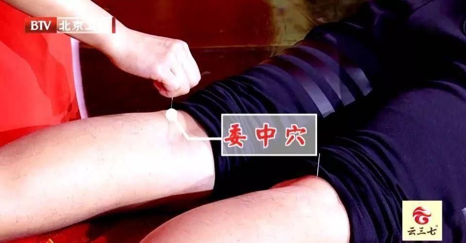 人体|人体自带长寿“窝”,每天按一按,舒经活络,护脏器,早学早受益