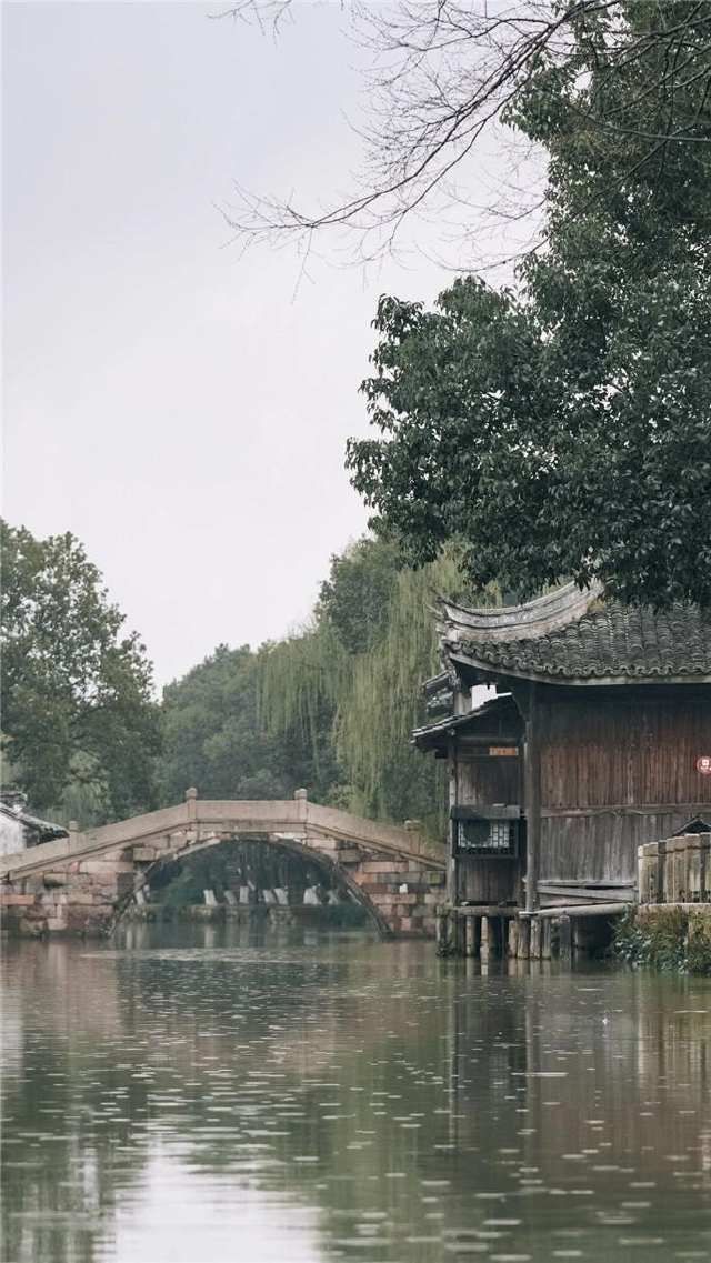 春雷始鸣,乌镇“慢直播”带你“云春游”,看小镇有多美