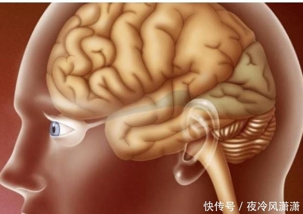 民间|人类为何记不住婴儿时期的记忆?民间学者:这是造物主的杰作