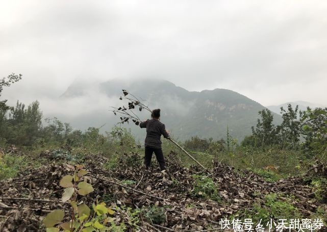 老话说:“男修车前马后,女修产前产后”,你知道是什么意思吗?