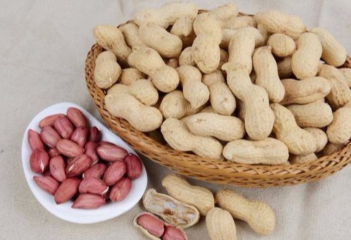 高血压|高血压病人吃花生如吃“毒药”专家说别被骗了!
