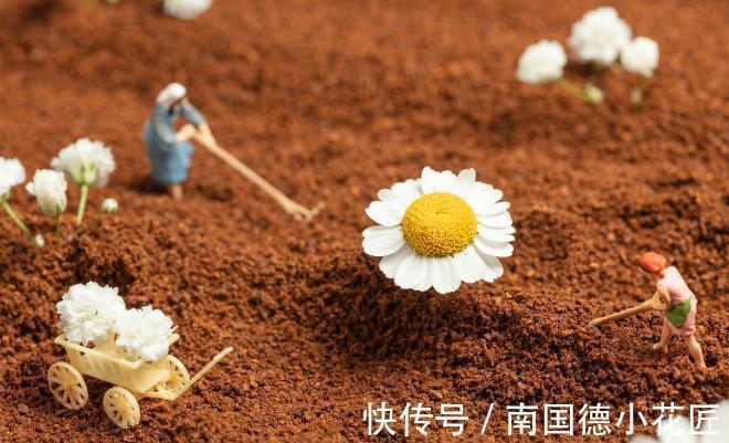 养花换下来的旧土别扔，加4种东西，比新土还好用