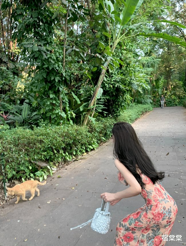 印花连衣裙，知性与性感并存，温柔的不得了