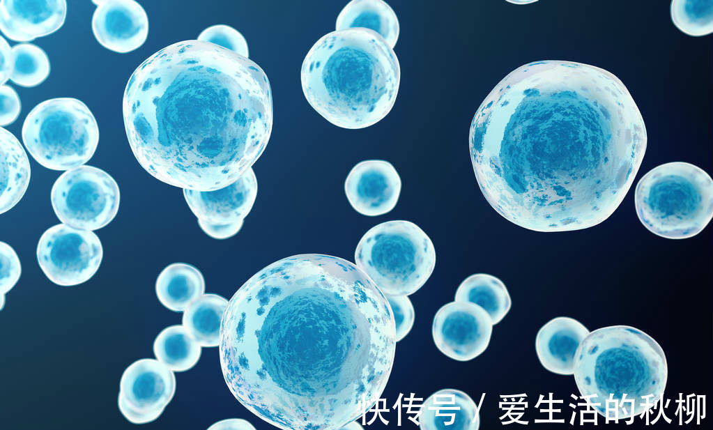 甲状腺结节|两种结节出现之后,最好及时切除,时间长了会变成恶性肿瘤