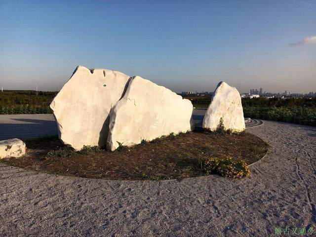 金色季节之温榆河公园西园（上）， 万朵葵花向阳开