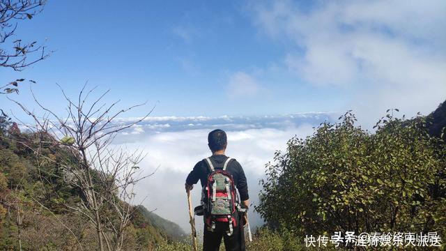 终南山拜访住山洞隐士，整日与猫狗蛇鼠为伴，这位隐士如何做到的