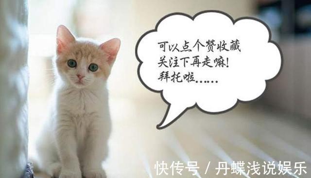 小美好|减肥其实并不难，记住早上3个坚持，晚上4个注意，你也能瘦下来