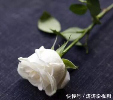 玫瑰花|玫瑰花,最美的“4种”,随便养一盆,比香水好闻,比牡丹更好看