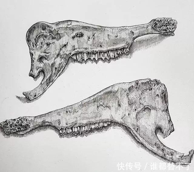 针管$全球最抠女画家，用一支2元针管笔惊艳世界，连英国皇室都惊叹