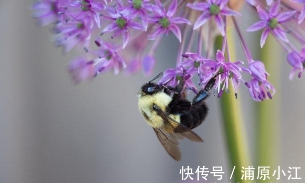 人际关系|往后1天，婚姻破裂，风平浪静，破冰复合，赢得芳心，私定终身