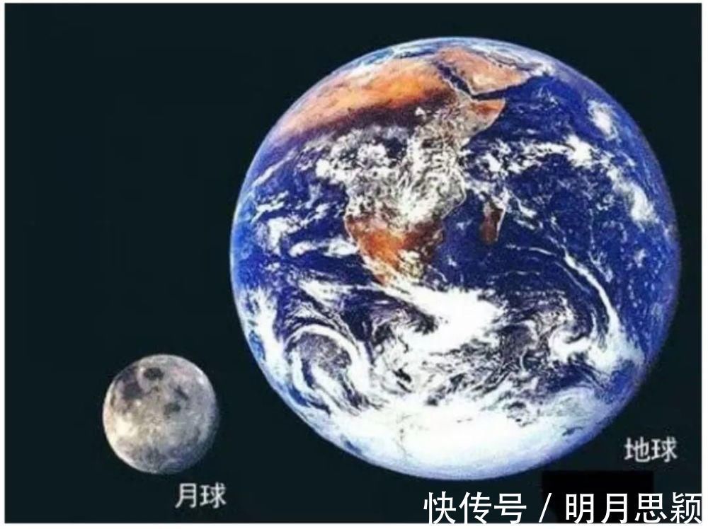 动态平衡&天敬:永恒的对立统一——再读《矛盾论》有感