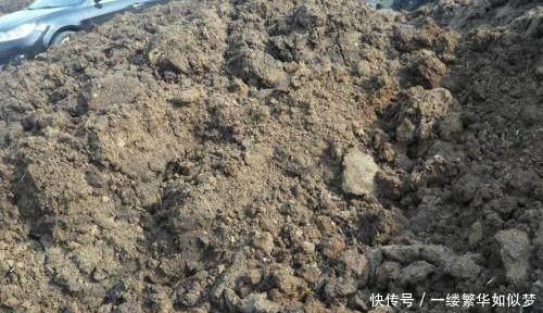 不算|喜欢养花,先“染上”2个坏习惯,否则就不算爱养花,看你有吗?