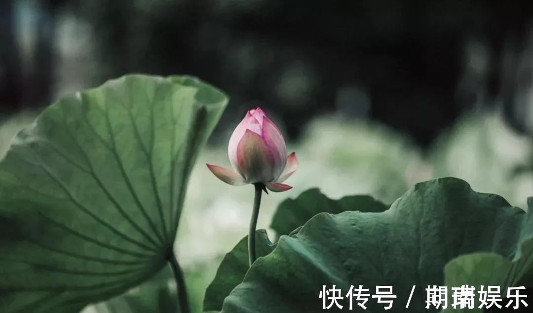 石钟山记@苏轼散文名句15则,学做人、学处世,你会受益无穷