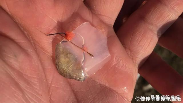 浮漂|钓鱼时总是挂到鱼鳞？只需简单调整，就能轻松把鱼钓上岸