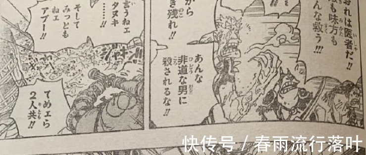 索隆|海贼王997话乔巴破解冰鬼的秘密,奎因和King终于坐不住了