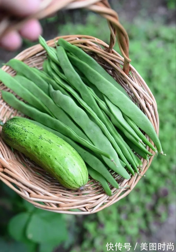 防腐木|为了这个45㎡小院子,坚持买了一楼,打造成花园后比别墅还好看