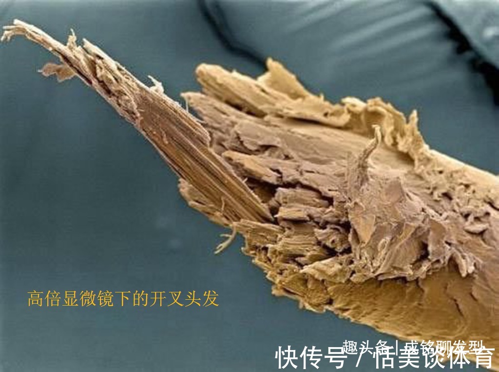 发质 经常染发的老年人,要养成这三个养护好习惯,头皮健康不伤发