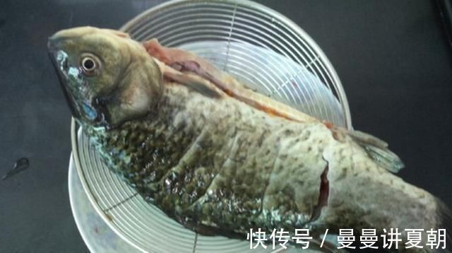 鲫鱼和小葱的新吃法,做法简单,营养美味又解腻,上桌都抢着吃