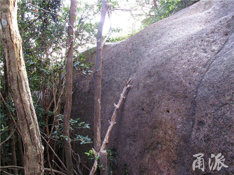 爵溪|象山爵溪有条“最险要的游步道”，风景独好