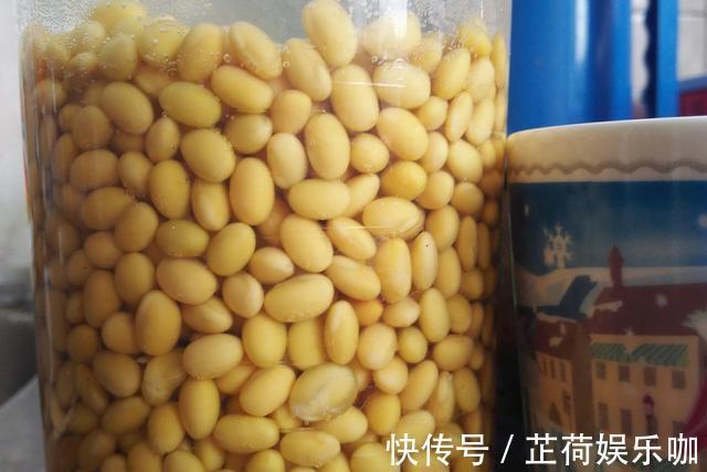 黄豆|教你在家发豆芽，不用土壤不用肥料，3天就能吃，脆嫩营养又卫生