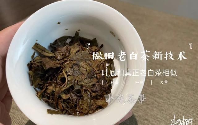 茶友|别单纯看黄叶片了，鉴别做旧老白茶用这个新招术，老茶友们都在用