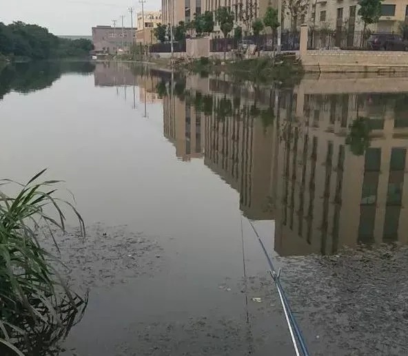 大鱼|冬天碰上这两种天气变化，再没空也得来钓鱼，爆护百分百！