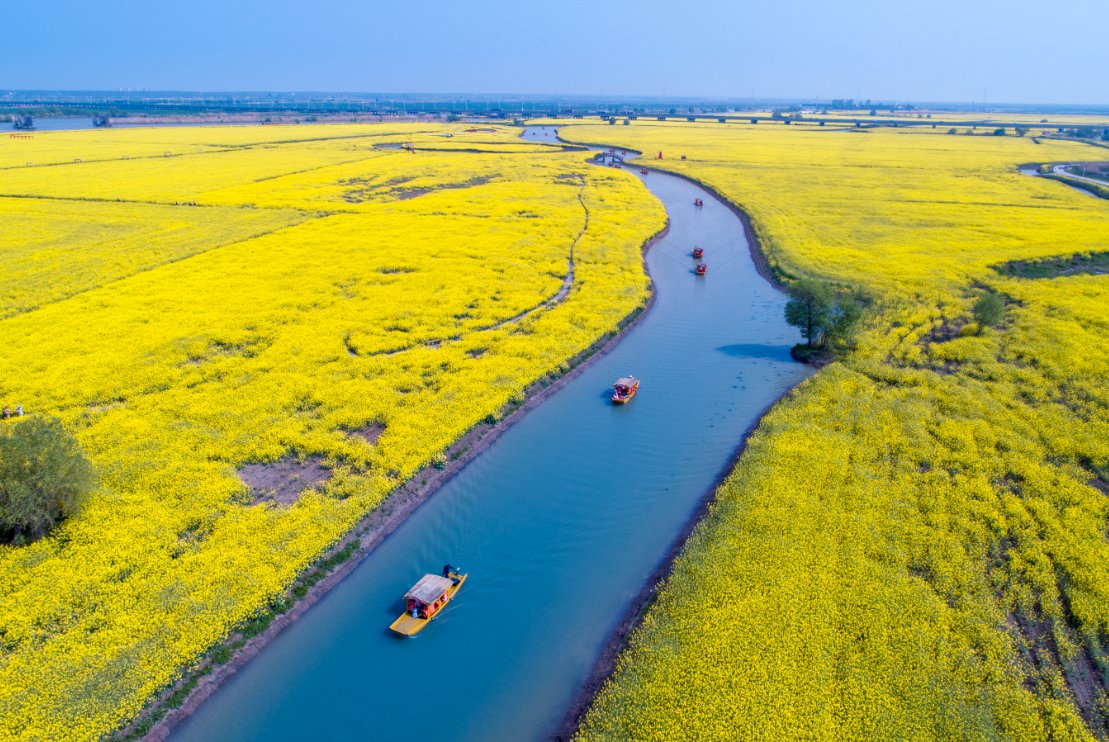 明年从三月到十月油菜花海经典6处任你选