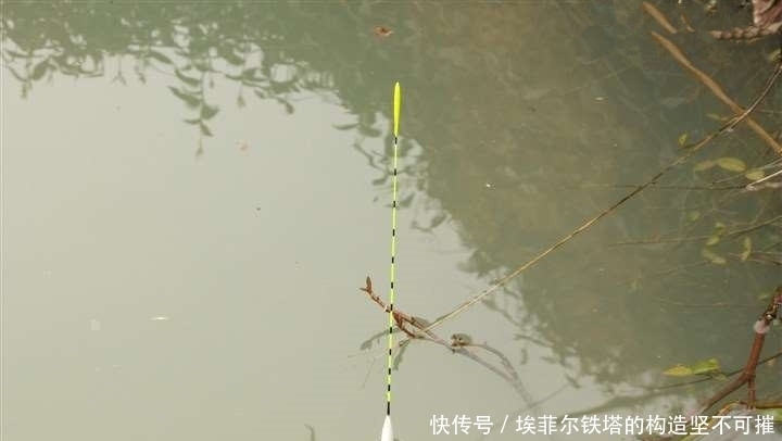 鱼口杂乱无实口,调低钓高这么调,马上竿竿都是死口