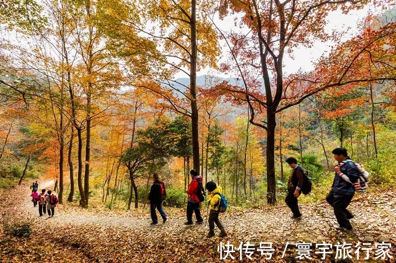 登山|秋高气爽最宜登山！宁海这些高颜值徒步道，周末快约起来！