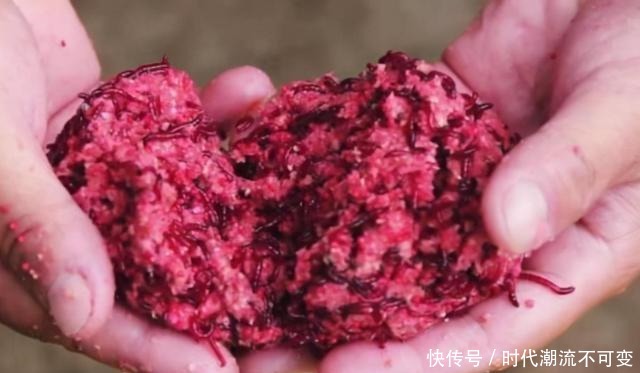 立冬过后,拉饵只要按我说的用,就连老钓手也得双手称赞!