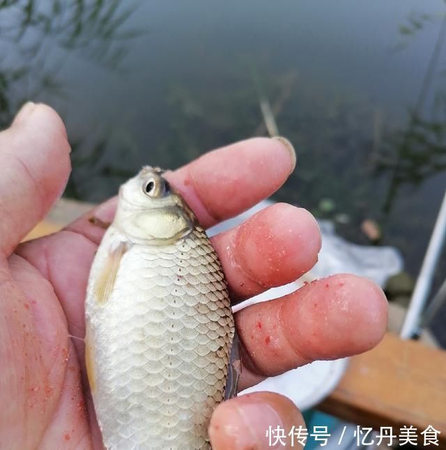 大鱼|高温天,钓大鱼先克服这些“难题”,不是我吹,渔获瞬间猛增几倍