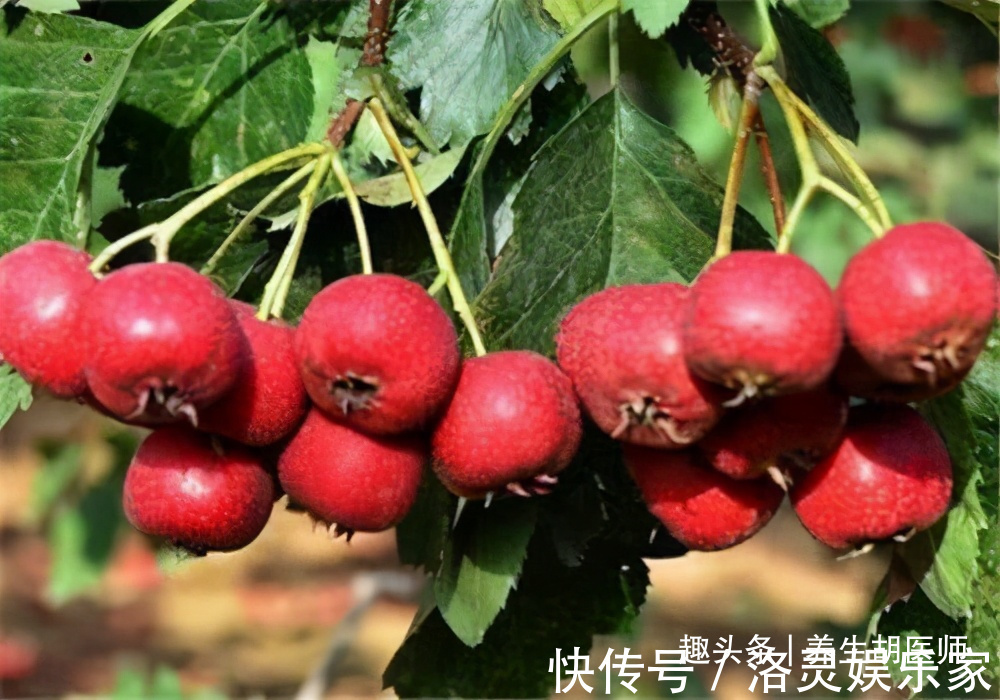 胡医师|人到中年想长寿,可以多吃3种食物,排毒养颜,有益健康!