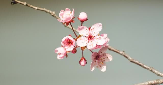 女人!真正有气质的女人,都有这几个特征