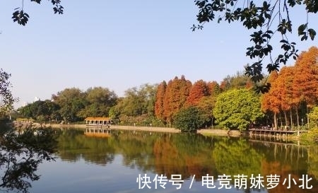 陈毅|陈毅很罕见的一首诗,浅显易懂,却令人深受启发