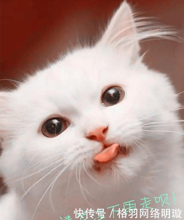 汉献帝|曹操被冤枉,我们被欺骗了!他才是三国里隐藏最深的奸贼!