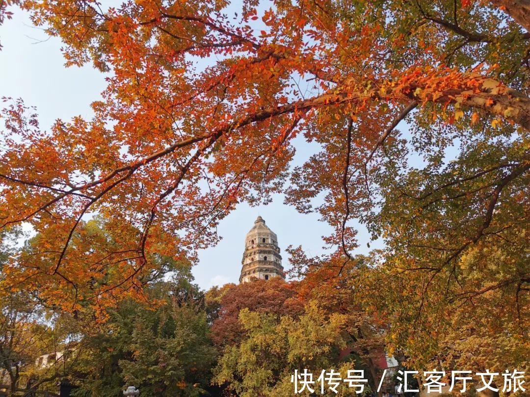 姑苏|秋天是苏州最美的季节：枫叶红、银杏黄、桂花开……