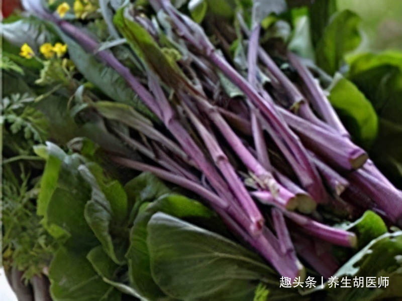 排毒养颜|不想身体变老,适合吃养生食物,缓解便秘,消脂排毒,肌肤更好