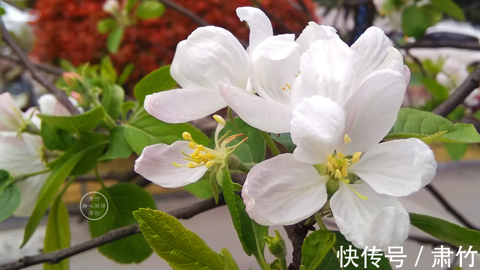 雨声|静听雨声，清浅是我们的寂寞，也是温馨