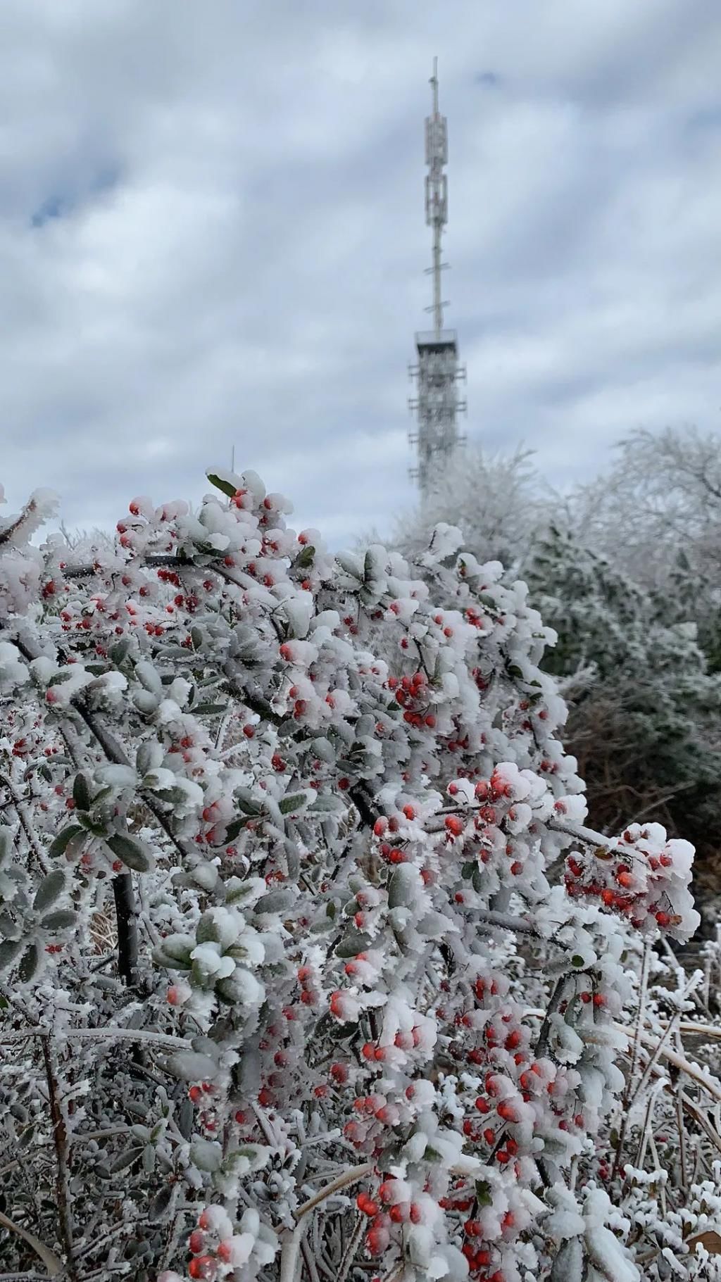 下雪天，凯里小高山的风景好美哦！