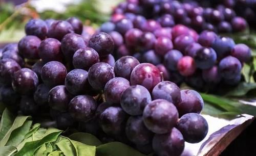 一日三餐|胃不好不能吃葡萄?消化科医生:想养胃,3种水果要少吃