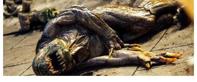 最后一天|《云南蟲谷》開播熱度高，熱情觀眾被潑冷水？第二周就超前點播？