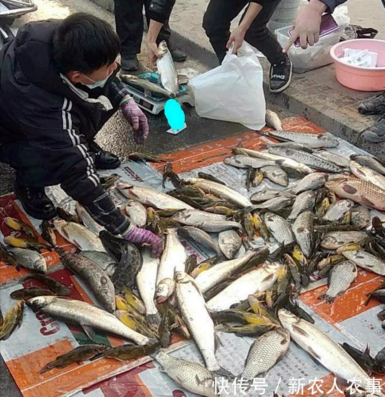 广东俩男子野钓爆护,直接在马路边摆摊叫卖,引来众人纷纷围观